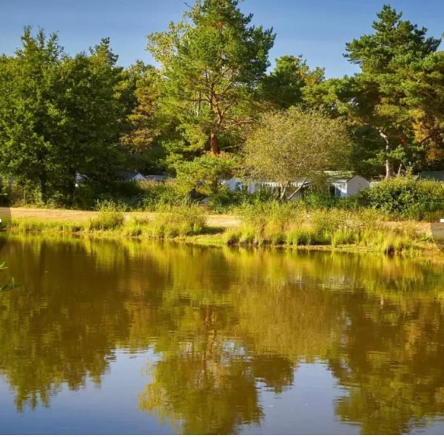 Camping Tohapi Coeur De Vendee La Boissiere-de-Montaigu Zewnętrze zdjęcie